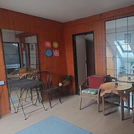 Brno - Apartman V Bohemske Ctvrti Kamenka Exterior foto